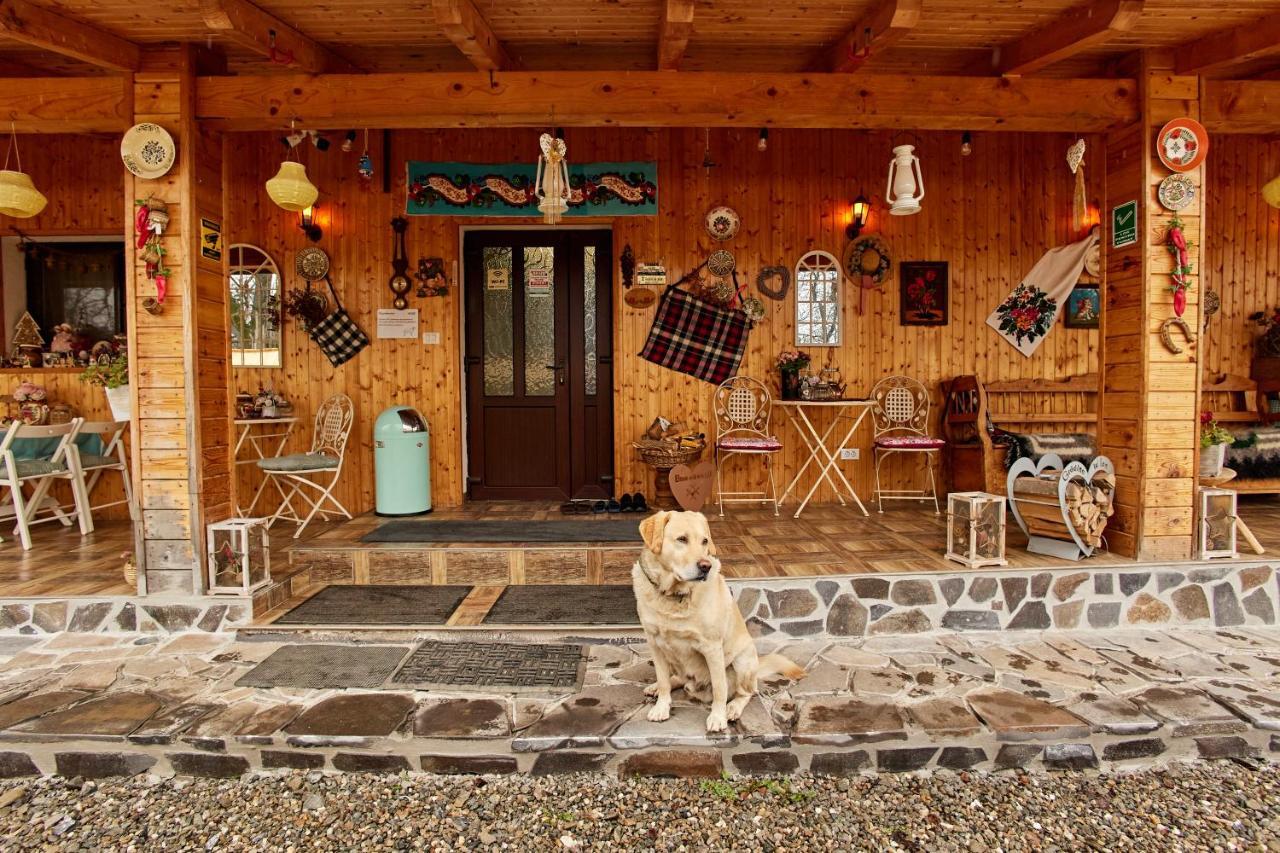 Gradina Lu' Ion "A Home Away From Home" (Adults Only) Vişeu de Sus Exterior foto