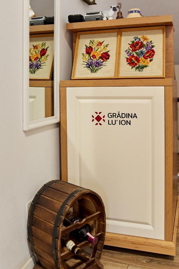 Gradina Lu' Ion "A Home Away From Home" (Adults Only) Vişeu de Sus Exterior foto